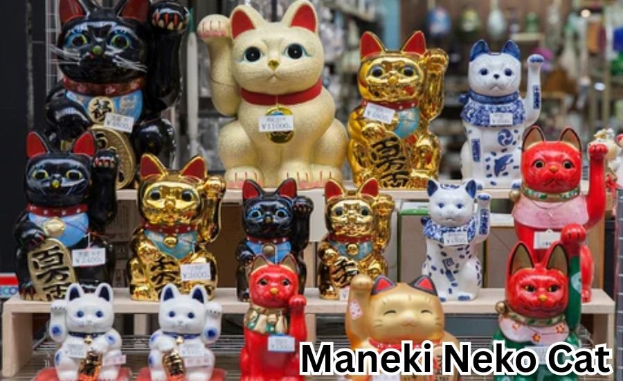 maneki neko cat