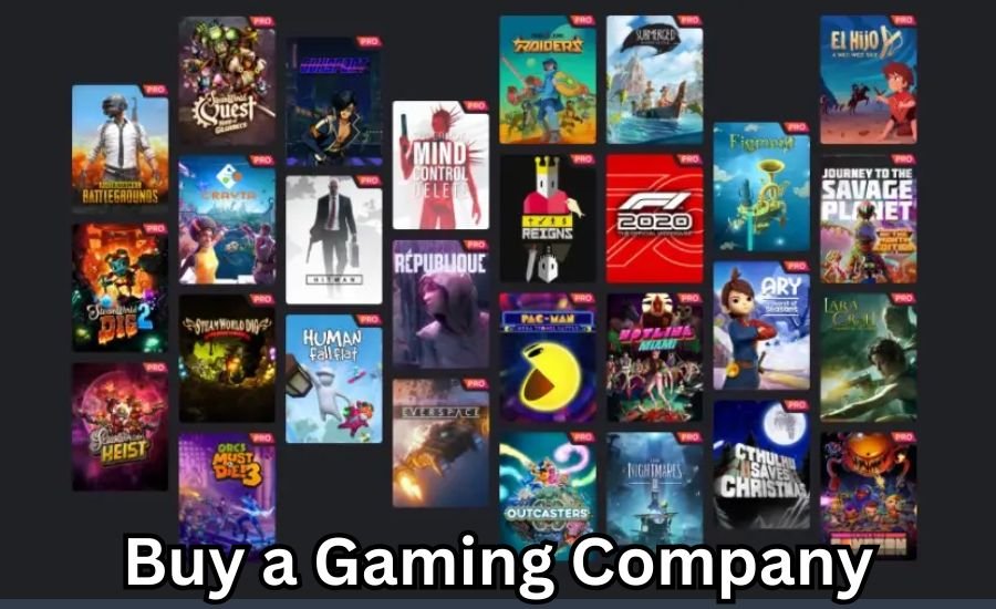 Buy a Gaming Company