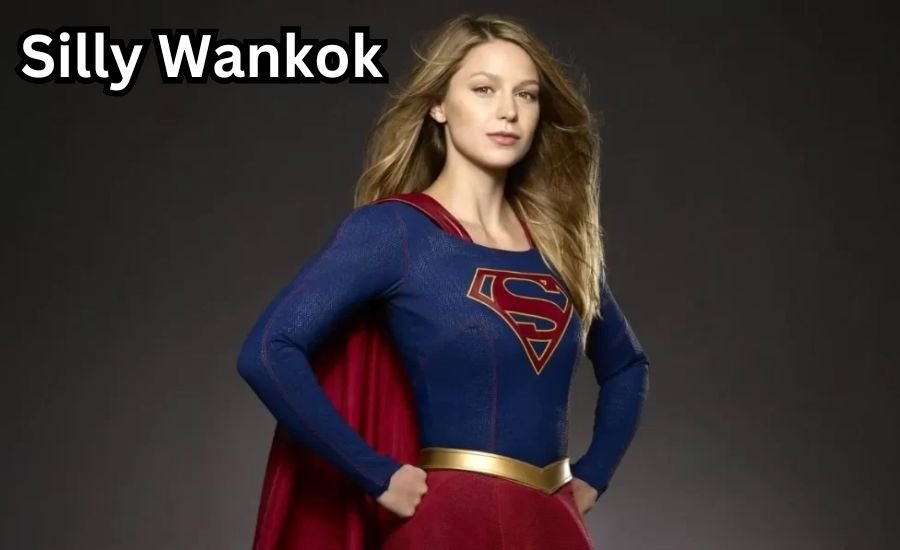 silly wankok